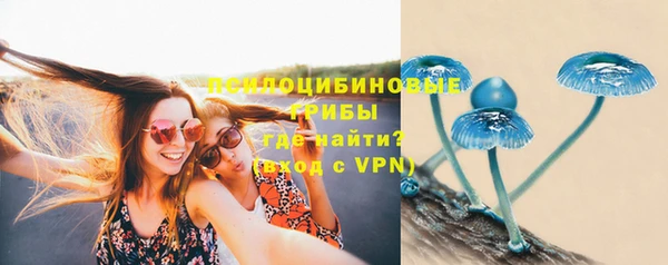 МДПВ Заволжье