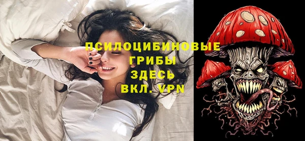спиды Заводоуковск