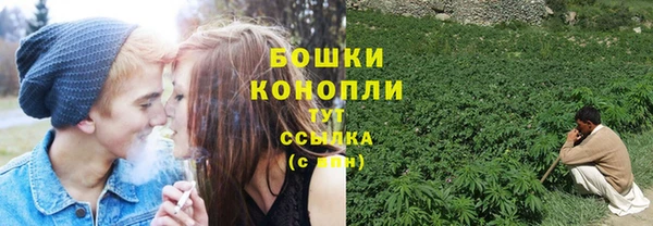 сатива Кущёвская