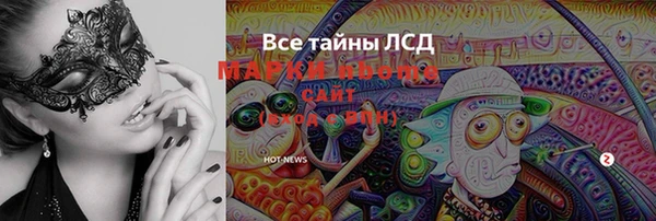 сатива Кущёвская