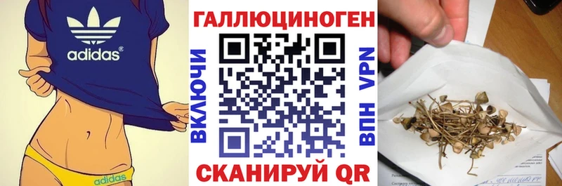 hydra ONION  дарнет шоп  Сенгилей  Галлюциногенные грибы Psilocybe 